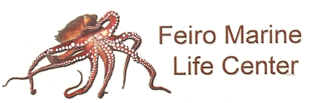 Feiro Marine Life Center